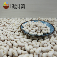 500g vacuum packing organic white kidney bean hot sale for supermarket